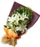 定西开业花篮